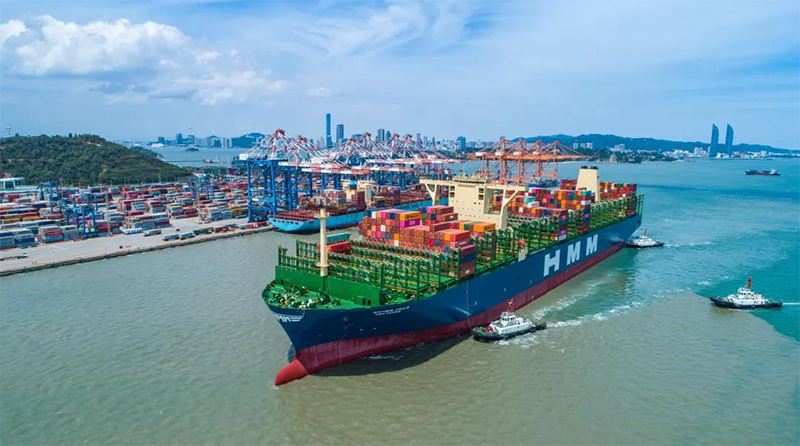 ???? ?? 14 ??? ????? ??? ??? ????? ???? 