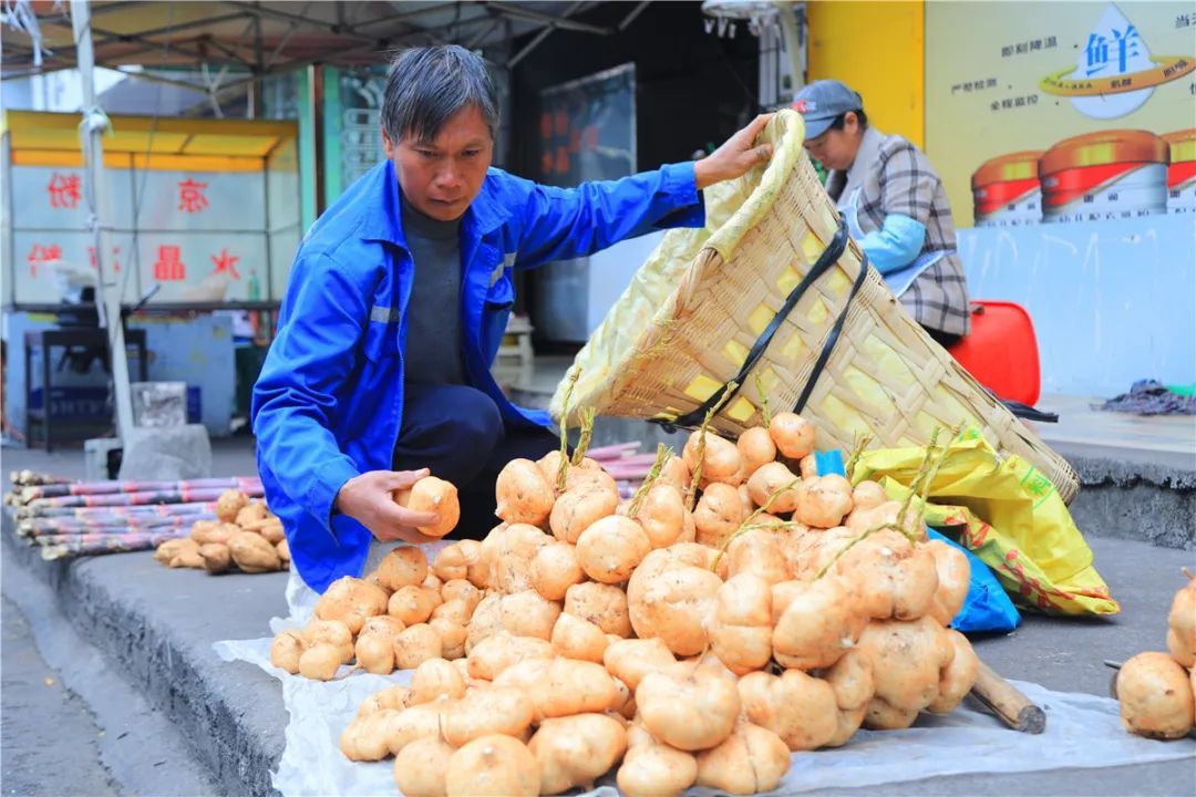 ???? ???? ?? ???? ???????? ??? ???? ????? ????????? ????????