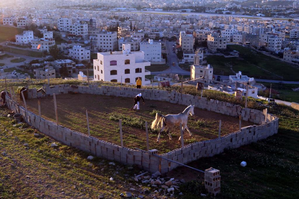 ??????: ????? ?????? ?? ??????