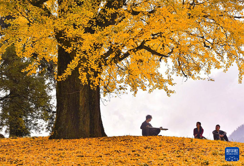 ??? ????? .. ???? ????? ??? ?????? ?????? 