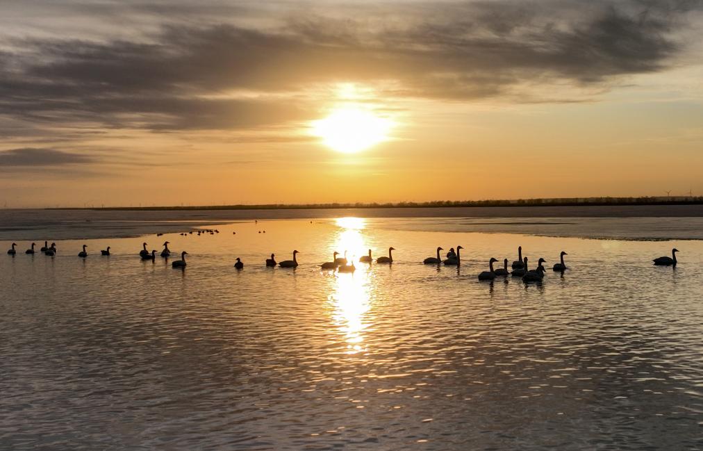 ??????: ???? ?????? ?? ????? ?????? ????? ???? ?????