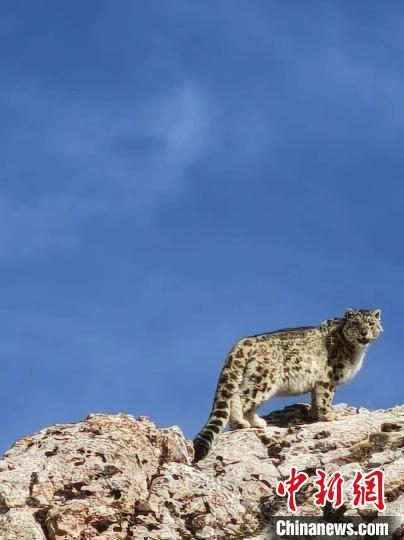 ???? ?????? ?? ???????? ??????? ???? ????? ???? ????