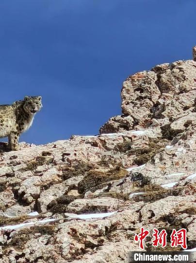 ???? ?????? ?? ???????? ??????? ???? ????? ???? ????