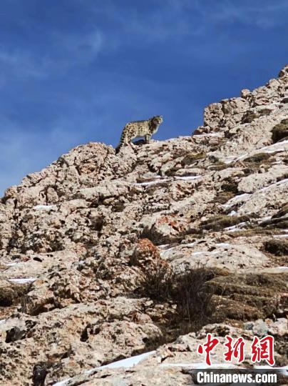 ???? ?????? ?? ???????? ??????? ???? ????? ???? ????