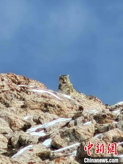 ???? ?????? ?? ???????? ??????? ???? ????? ???? ????