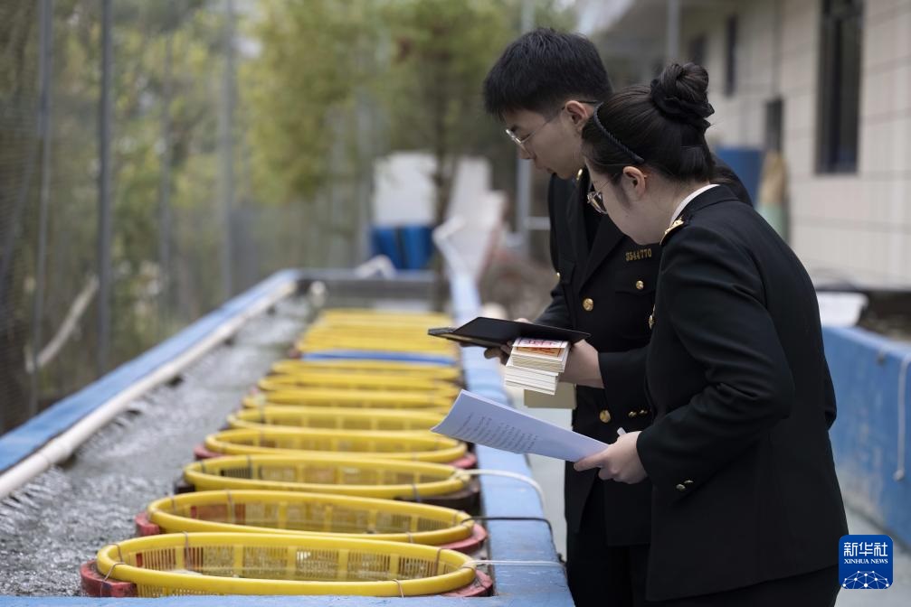 ?????: ????? ????? ?????? ????? ?????