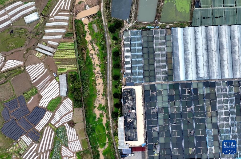 ?????: ????? ????? ?????? ????? ?????