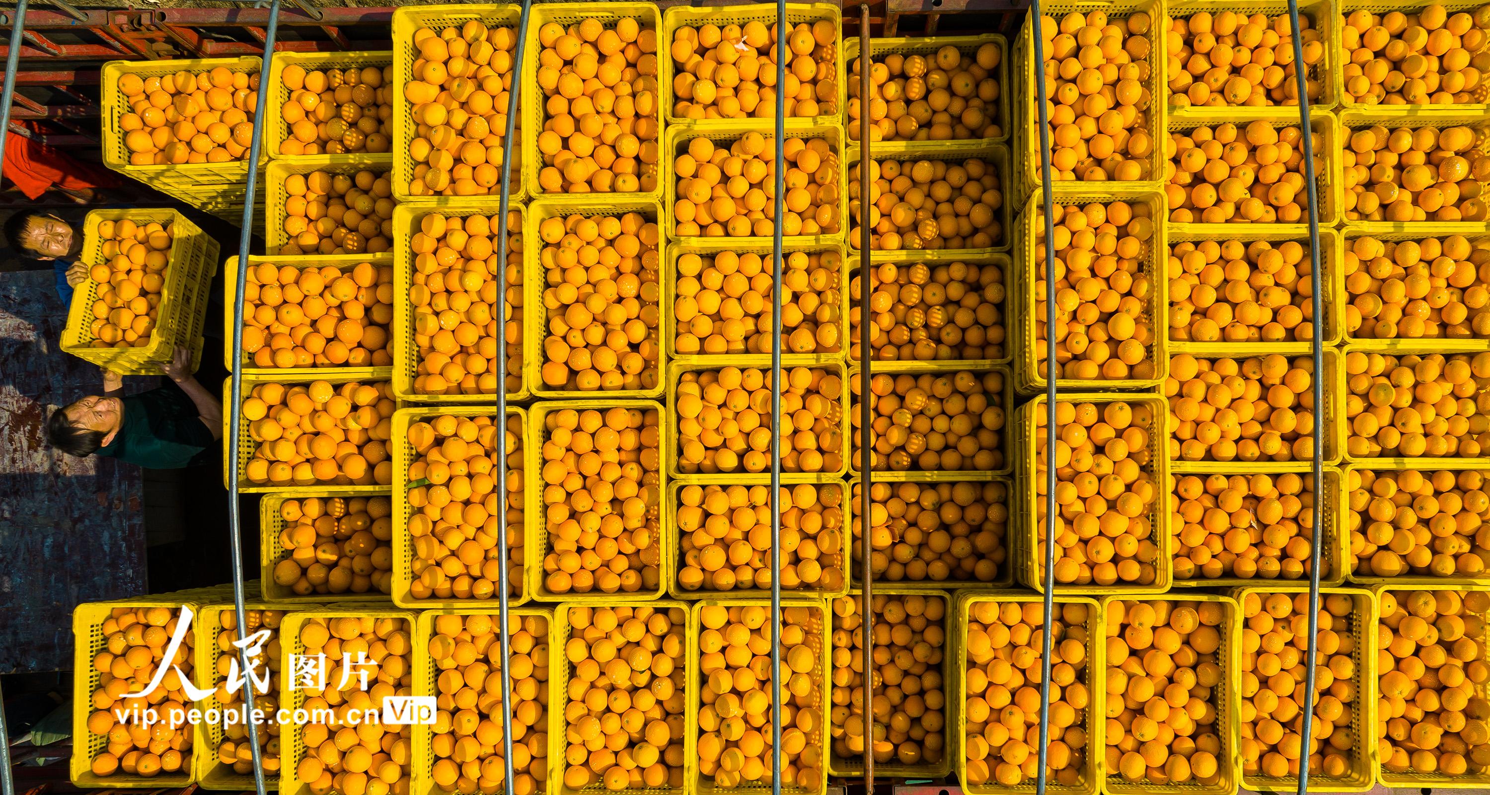 ??????? ???? ?????? ????? ???????? ?? ?????