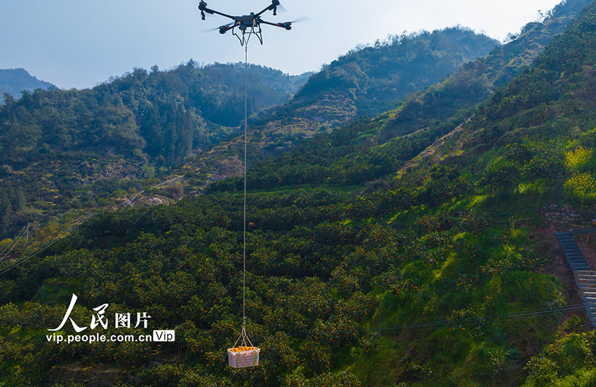 ??????? ???? ?????? ????? ???????? ?? ?????