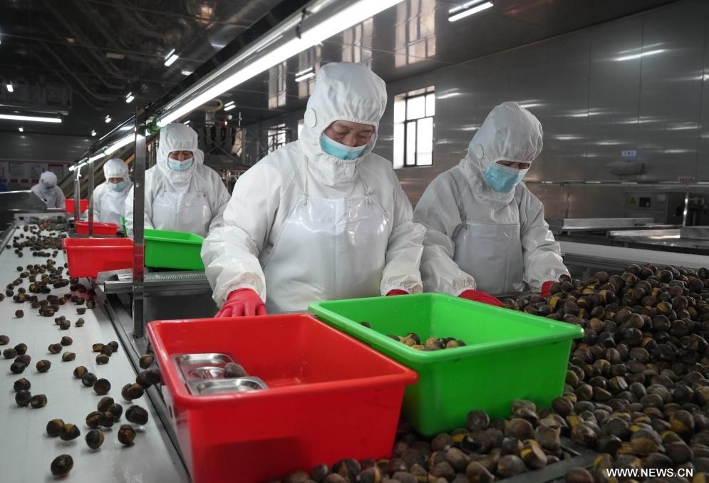 ?????? ???????? ???????? ?? ????? ?????