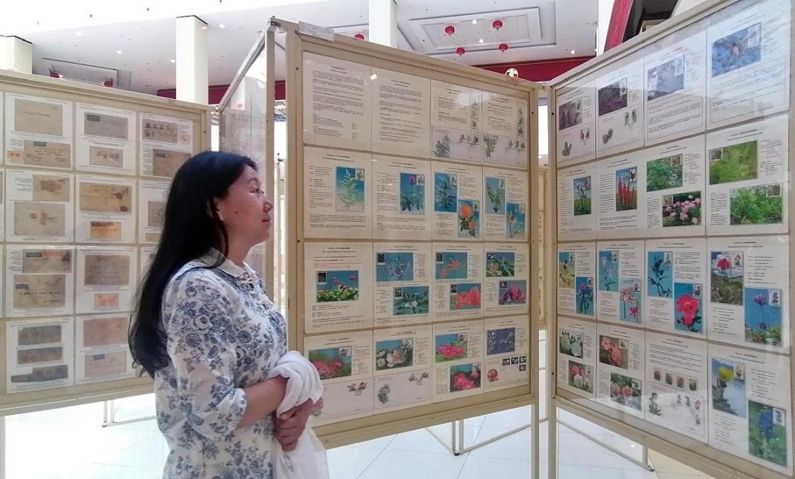 ???? ?? ??????? ??????? ???? ???????? ??????. ???? ?????? / ????? ??????? ????? ???????? ?????? ????? ???????