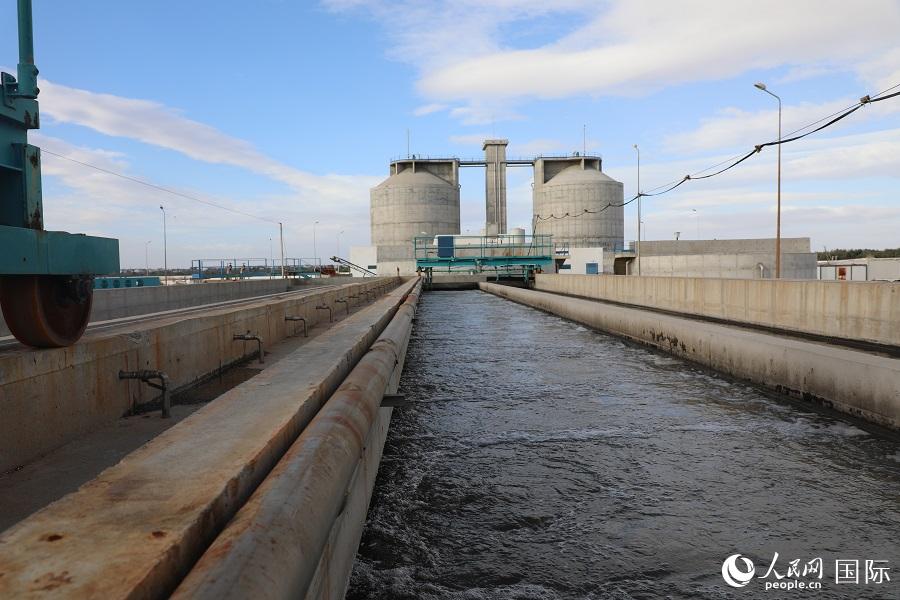 ??? 4 ????? ?? ???????? ???? ???? ????? ????? ??????? ??????? ?? ????? ???? ????????