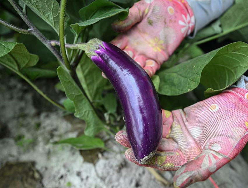 ???????? ??????: ????? ??????? ????????? ??? ??????? ???????????