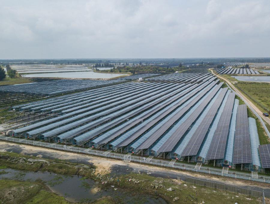 ???????? ??????: ????? ??????? ????????? ??? ??????? ???????????