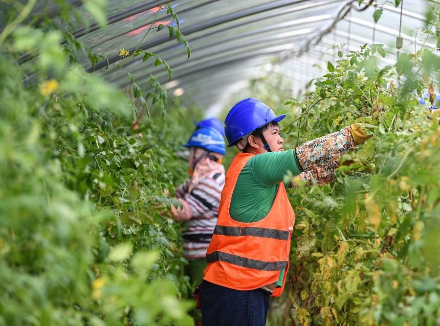 ???????? ??????: ????? ??????? ????????? ??? ??????? ???????????