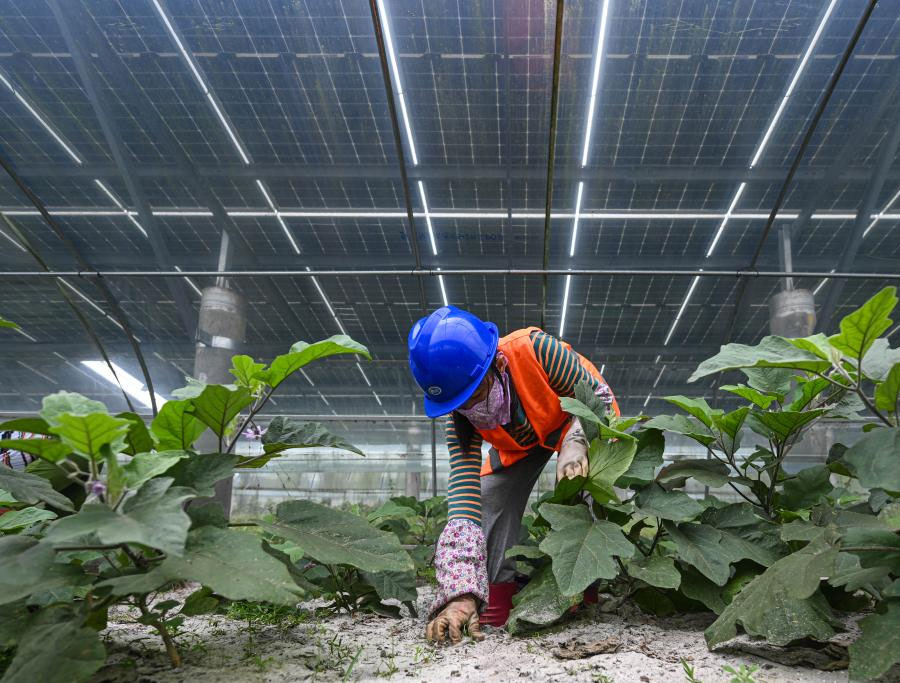 ???????? ??????: ????? ??????? ????????? ??? ??????? ???????????