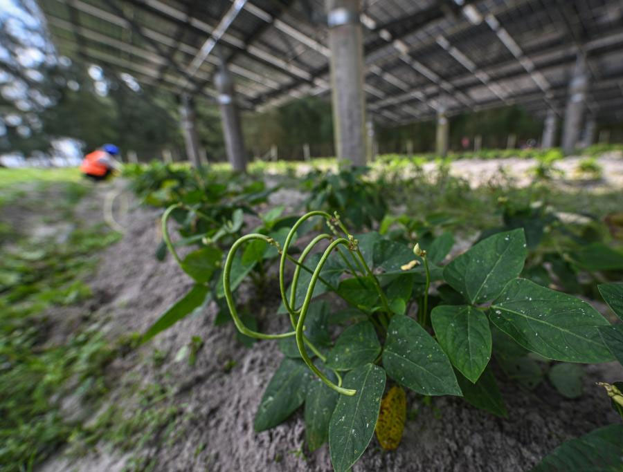 ???????? ??????: ????? ??????? ????????? ??? ??????? ???????????