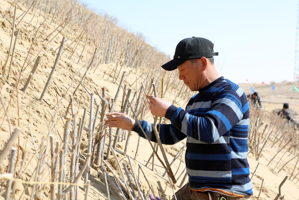 ??? ????? ?????? ?????? ?? ?????? ?????? ?????