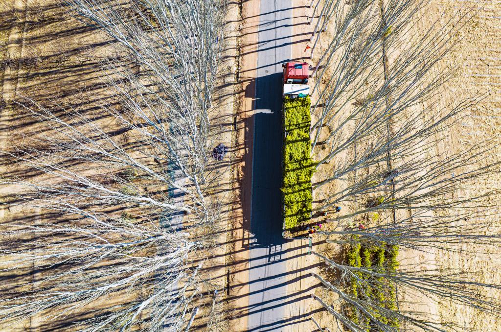 ??? ????? ?????? ?????? ?? ?????? ?????? ?????