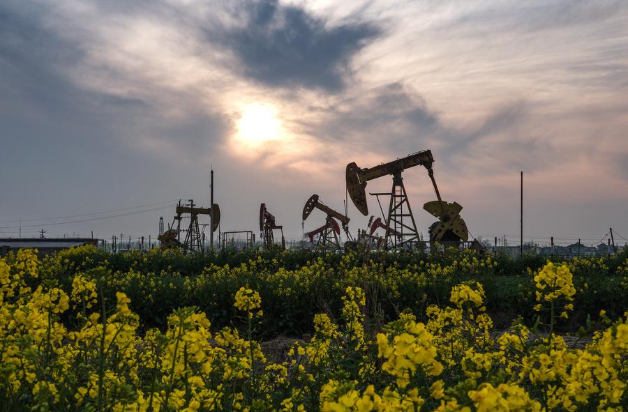 ?????? ????? ????? ?? ????? ????? ?? ?????? ?? ????? ??? ?????? ?? ????? ??????