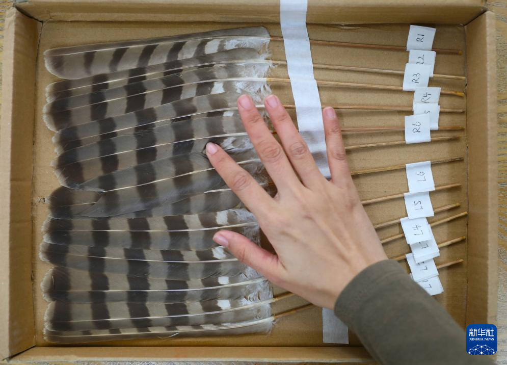 ?????? ?????? ???????: ???? ??? ??? ?????? ???????