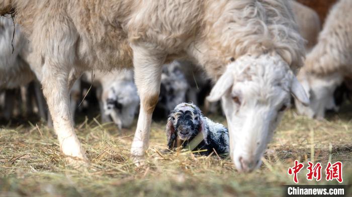 ???????? ????? ???? ?? 2 ?????? ??? ?? ???? ??????