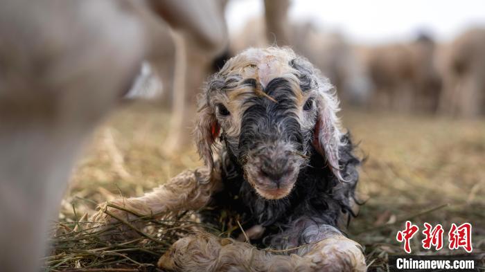 ???????? ????? ???? ?? 2 ?????? ??? ?? ???? ??????