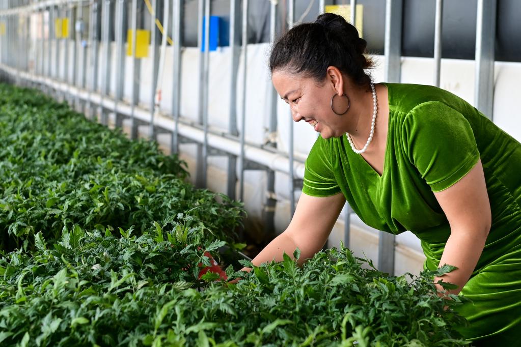 ???? 25 ???? 2024 (??????) ?? ?????? ???????? ??? 24 ???? 2024? ?????? ???? ?? ????? ?????? ?? ???? ????? ?????? ???? ?? ????? ???????? ????????? ????? ????? ?????? ???? ?????. ???????? ??????????? ???????? ???????? ????? ??? ??????? ????? ???? ???????? ?? ????? ???????.