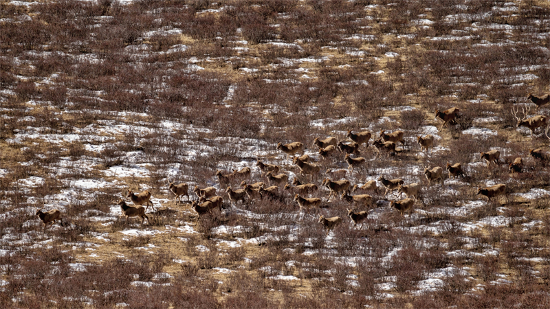 ????? ????????: ???? ?? 100 ???? ?? ???? ????? ??????? ?? ???? ??????