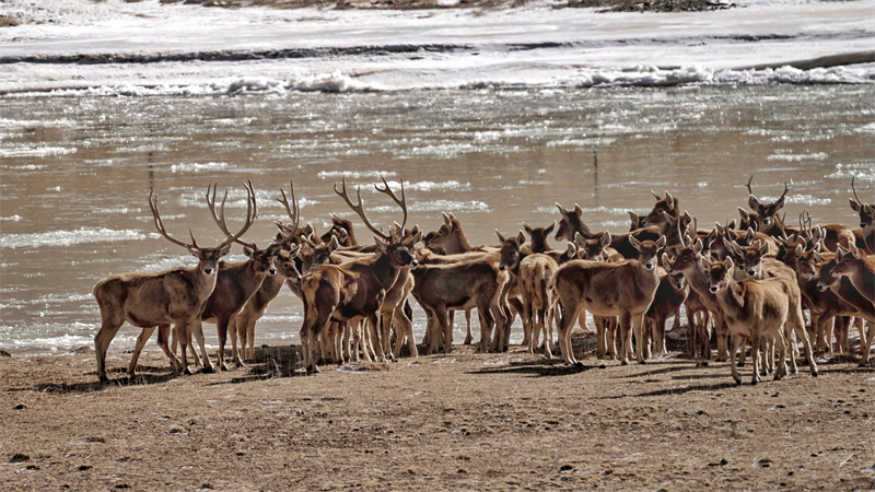 ????? ????????: ???? ?? 100 ???? ?? ???? ????? ??????? ?? ???? ??????