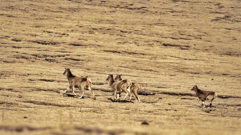 ????? ????????: ???? ?? 100 ???? ?? ???? ????? ??????? ?? ???? ??????