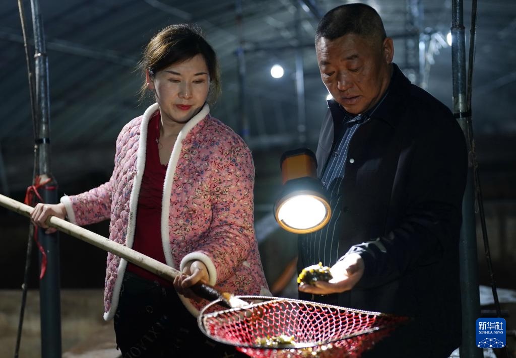 ???????? ???: ???? ????? ???? ?????