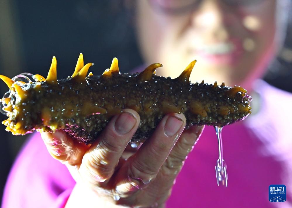 ???????? ???: ???? ????? ???? ?????