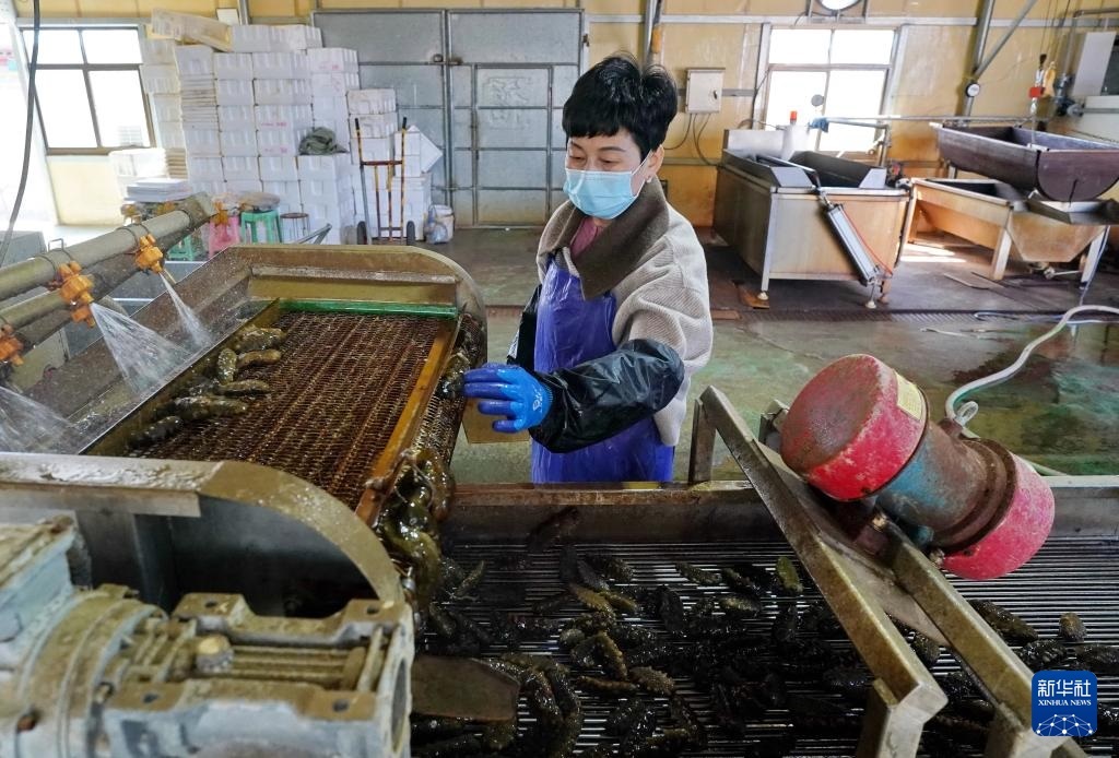 ???????? ???: ???? ????? ???? ?????