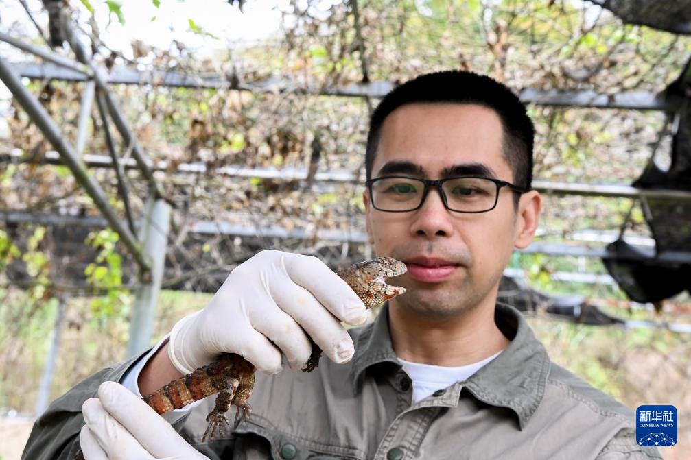 ?????? ???????? ?? ??????? ???? ???? ???????