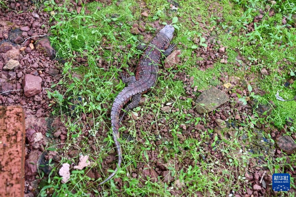 ?????? ???????? ?? ??????? ???? ???? ???????