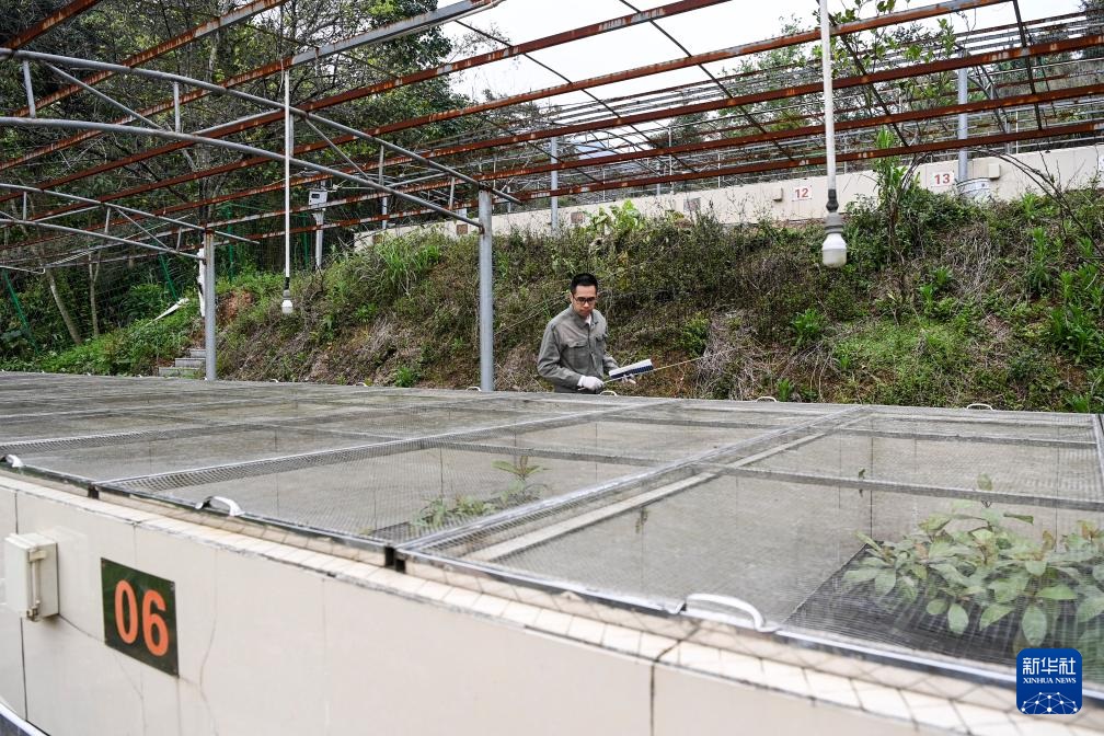 ?????? ???????? ?? ??????? ???? ???? ???????