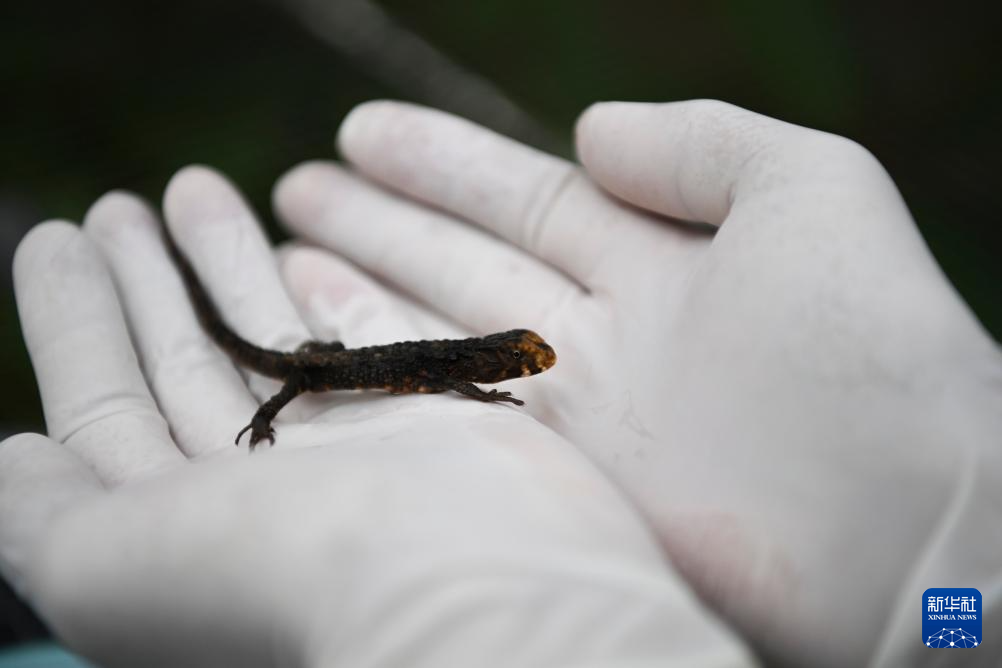 ?????? ???????? ?? ??????? ???? ???? ???????