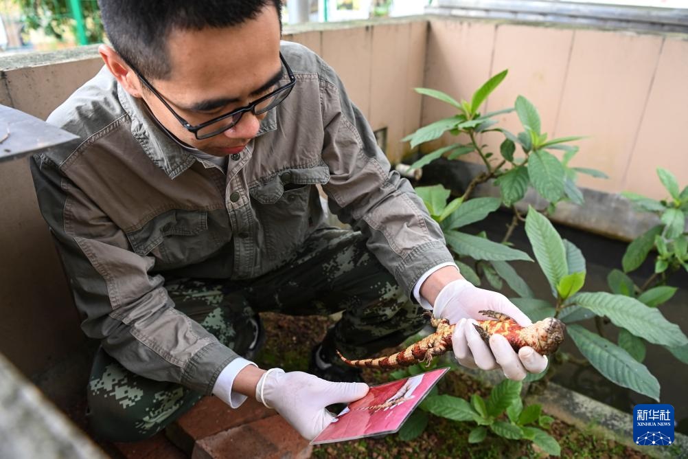 ?????? ???????? ?? ??????? ???? ???? ???????