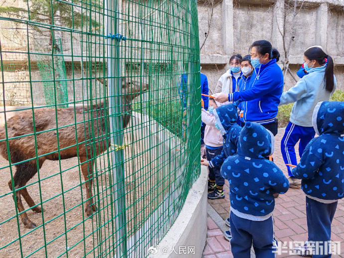 ????????: ????? ??????? ????? ??? ???? ??????? ???? ??? ?????