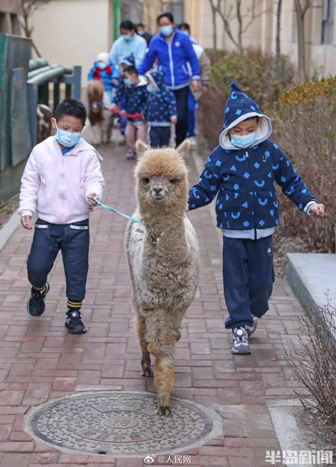 ????????: ????? ??????? ????? ??? ???? ??????? ???? ??? ?????