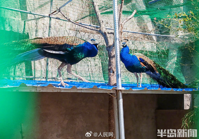 ????????: ????? ??????? ????? ??? ???? ??????? ???? ??? ?????