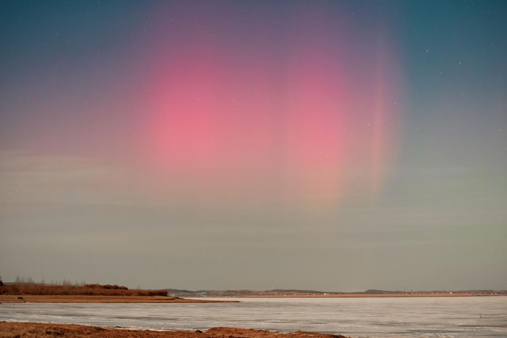 ??????: ????? ?????? ???? ???? ?????? ??????????? ??????