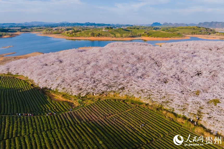 ??? ????? ????? ?? ??????