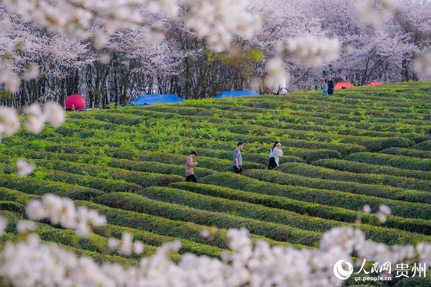 ??? ????? ????? ?? ??????