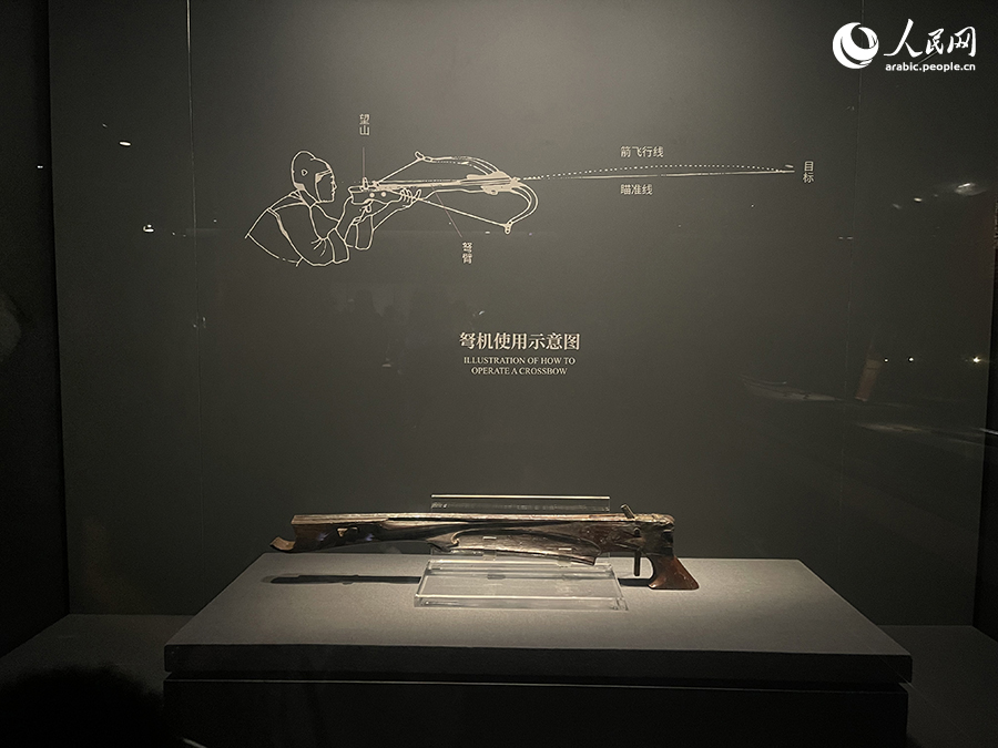 ???? ????? ????????.. ?????? ???? ????? ?? ????? ????????