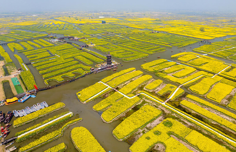 ???? ????? ??? ?????? ?????? ?? ???????