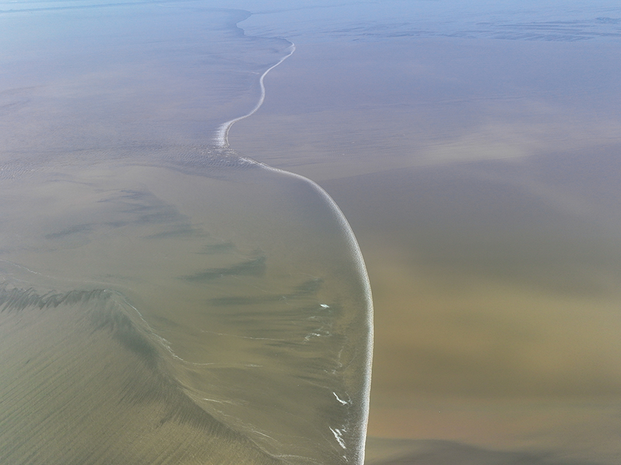 ???????? ???????: ?? ???? ??? ????????? ???? ???? ?????? ?????