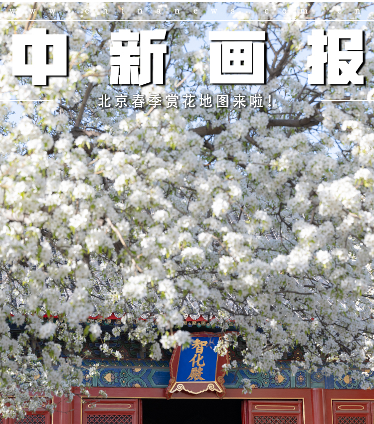 ???? ???? ?? ????? ????????? ????? ??????