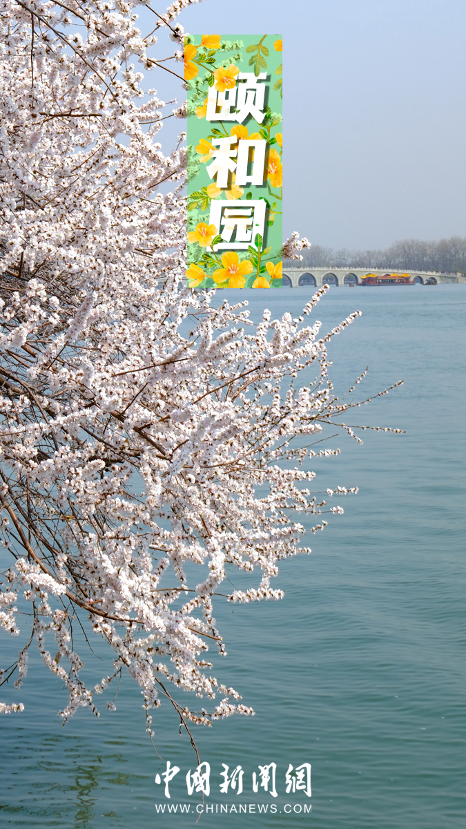 ???? ???? ?? ????? ????????? ????? ??????